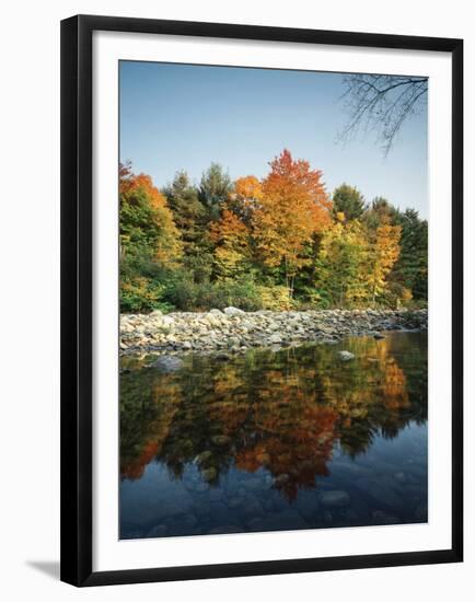 Vermont, Autumn Colors of Sugar Maple Trees Along a Stream-Christopher Talbot Frank-Framed Premium Photographic Print