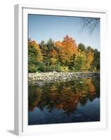 Vermont, Autumn Colors of Sugar Maple Trees Along a Stream-Christopher Talbot Frank-Framed Premium Photographic Print