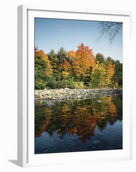 Vermont, Autumn Colors of Sugar Maple Trees Along a Stream-Christopher Talbot Frank-Framed Premium Photographic Print