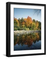 Vermont, Autumn Colors of Sugar Maple Trees Along a Stream-Christopher Talbot Frank-Framed Photographic Print