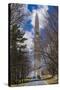 Vermont, Bennington, Bennington Battle Monument-Walter Bibikow-Stretched Canvas