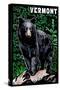 Vermont - Black Bear - Scratchboard-Lantern Press-Stretched Canvas