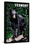 Vermont - Black Bear - Scratchboard-Lantern Press-Framed Stretched Canvas