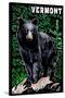 Vermont - Black Bear - Scratchboard-Lantern Press-Stretched Canvas