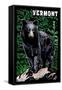 Vermont - Black Bear - Scratchboard-Lantern Press-Framed Stretched Canvas