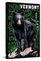 Vermont - Black Bear - Scratchboard-Lantern Press-Stretched Canvas