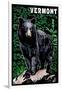 Vermont - Black Bear - Scratchboard-Lantern Press-Framed Art Print