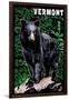 Vermont - Black Bear - Scratchboard-Lantern Press-Framed Art Print