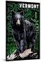Vermont - Black Bear - Scratchboard-Lantern Press-Mounted Art Print