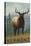 Vermont - Elk Scene-Lantern Press-Stretched Canvas