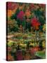 Vermont Fall #2-Steven Maxx-Stretched Canvas
