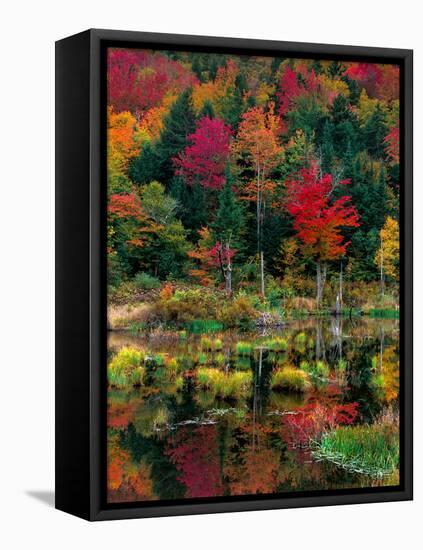 Vermont Fall #2-Steven Maxx-Framed Stretched Canvas