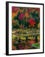 Vermont Fall #2-Steven Maxx-Framed Photographic Print