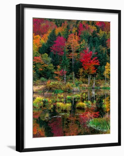 Vermont Fall #2-Steven Maxx-Framed Photographic Print