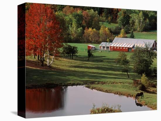 Vermont Farm in the Fall, USA-Charles Sleicher-Stretched Canvas