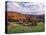 Vermont Farm in the Fall, USA-Charles Sleicher-Stretched Canvas