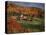 Vermont Farm in the Fall, USA-Charles Sleicher-Stretched Canvas