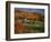 Vermont Farm in the Fall, USA-Charles Sleicher-Framed Photographic Print