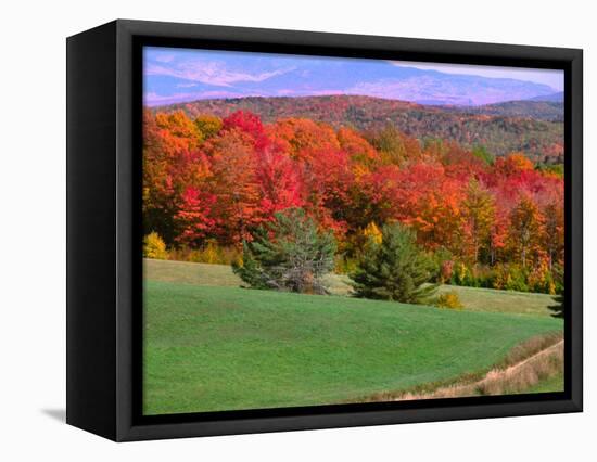 Vermont Hills in the Fall, Vermont, USA-Charles Sleicher-Framed Stretched Canvas