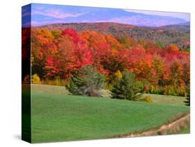 Vermont Hills in the Fall, Vermont, USA-Charles Sleicher-Stretched Canvas