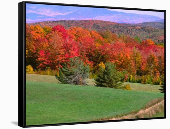 Vermont Hills in the Fall, Vermont, USA-Charles Sleicher-Framed Stretched Canvas