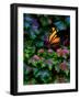 Vermont Lit Window & Ivy-Steven Maxx-Framed Photographic Print