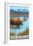 Vermont - Moose Drinking in Lake-Lantern Press-Framed Art Print