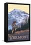 Vermont Mountain Hiker-Lantern Press-Framed Stretched Canvas