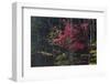 Vermont Scenic-null-Framed Photographic Print
