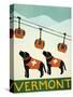 Vermont Ski Patrol Black Black-Stephen Huneck-Stretched Canvas