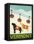 Vermont Ski Patrol Black-Stephen Huneck-Framed Stretched Canvas