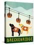 Vermont Ski Patrol Breckenridge-Stephen Huneck-Stretched Canvas