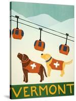 Vermont Ski Patrol Choc-Stephen Huneck-Stretched Canvas