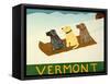 Vermont Sled Dogs-Stephen Huneck-Framed Stretched Canvas