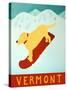 Vermont Snowboard Yellow-Stephen Huneck-Stretched Canvas