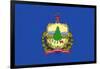 Vermont State Flag-Lantern Press-Framed Art Print