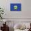 Vermont State Flag-Lantern Press-Mounted Premium Giclee Print displayed on a wall