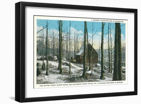 Vermont Sugar Orchard-null-Framed Art Print