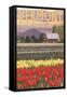 Vermont - Tulip Fields-Lantern Press-Framed Stretched Canvas