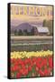 Vermont - Tulip Fields-Lantern Press-Framed Stretched Canvas