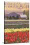 Vermont - Tulip Fields-Lantern Press-Stretched Canvas