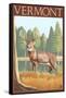 Vermont - White-Tailed Deer-Lantern Press-Framed Stretched Canvas