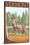 Vermont - White-Tailed Deer-Lantern Press-Stretched Canvas