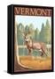 Vermont - White-Tailed Deer-Lantern Press-Framed Stretched Canvas