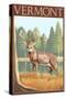 Vermont - White-Tailed Deer-Lantern Press-Stretched Canvas