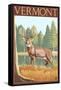 Vermont - White-Tailed Deer-Lantern Press-Framed Stretched Canvas