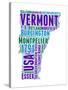 Vermont Word Cloud Map-NaxArt-Stretched Canvas