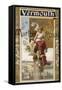 Vermouth Torino Rare-null-Framed Stretched Canvas