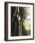 Vernaccia-Tandi Venter-Framed Giclee Print