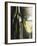 Vernaccia-Tandi Venter-Framed Giclee Print